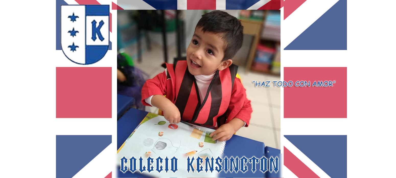 Preescolar plataforma(4)